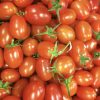 Baby Roma (Cherry Roma) Tomato Seeds