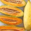 Summertime Melon Collection | Seeds - Image 2
