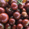 Black Prince Tomato Seeds | Heirloom - Image 6