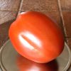 Cipollas Pride Tomato Seeds | Heirloom - Image 2