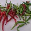 Cayenne Pepper Collection | Hot | Seeds - Image 4