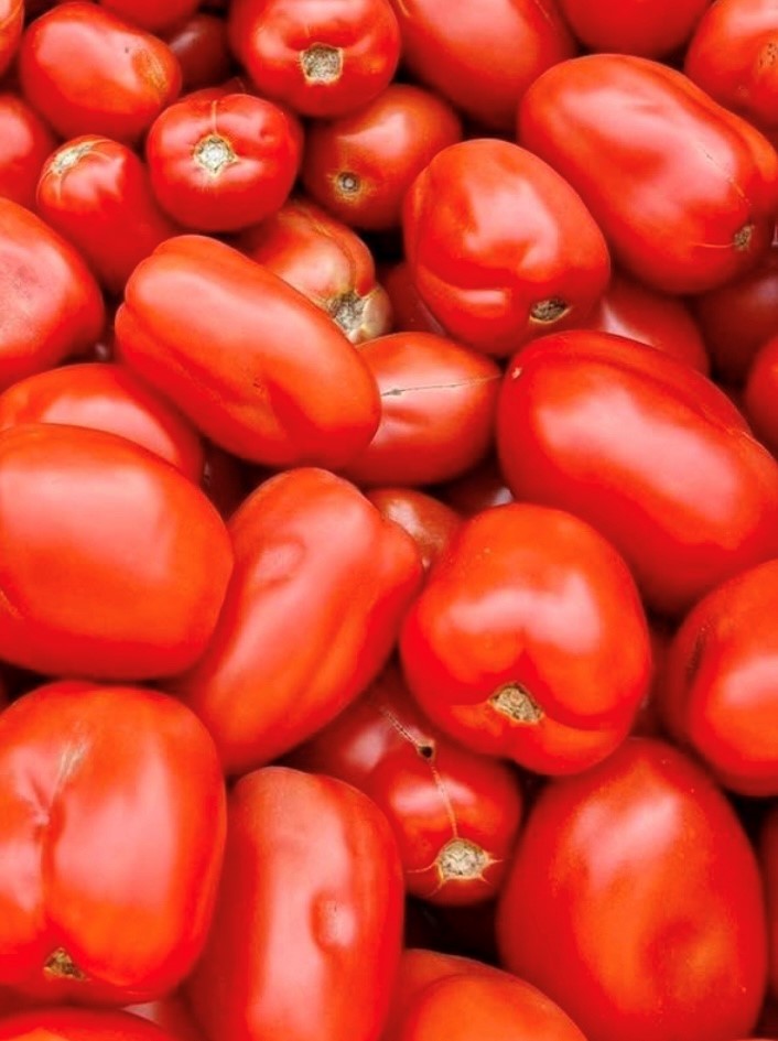 Amish Paste Tomato Seeds | Heirloom