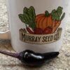 Black Hungarian Pepper Seeds | Hot | Heirloom