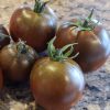 Black Prince Tomato Seeds | Heirloom - Image 5