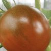 Black Prince Tomato Seeds | Heirloom - Image 3