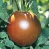 Black Prince Tomato Seeds | Heirloom - Image 4