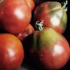 Black Truffle Tomato Seeds  Heirloom