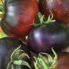 Blue Beauty Tomato Seeds - Image 3