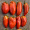 Blue Beech Tomato Seeds | Heirloom