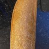 Brown Russian Cucumber Seeds | Heirloom - Image 2