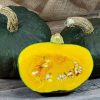 Burgess Buttercup Winter Squash Seeds | Heirloom