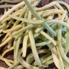 Cherokee Wax Yellow Bean Seeds | Heirloom - Image 2