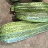 Costata Romanesco Zucchini Seeds | Heirloom - Image 2