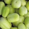 Crystal Apple Cucumber Seeds | Heirloom - Image 3