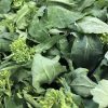 Early Fall Rapini Broccoli Seeds | Heirloom - Image 2