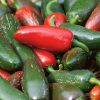 Jalapeno Pepper Collection | Hot | Seeds - Image 2