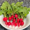 Rainbow Radish Collection | Seeds - Image 5
