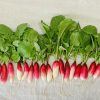 French Breakfast Radish Seeds | Heirloom - Image 4