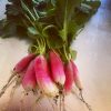 French Breakfast Radish Seeds | Heirloom - Image 3