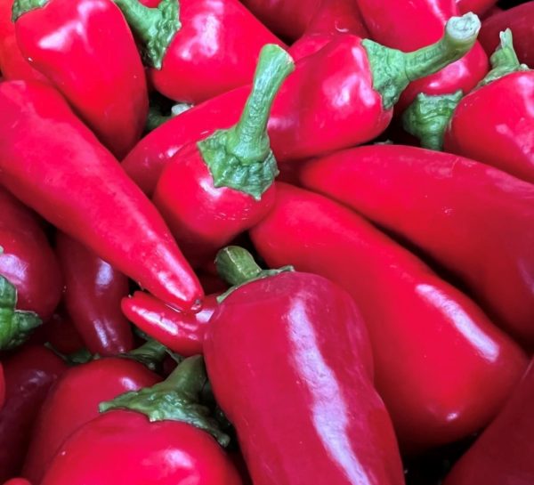 Fresno Pepper Seeds | Hot | Heirloom