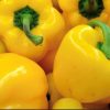 Golden California Wonder Pepper Seeds | Sweet | Heirloom - Image 2
