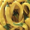 Cayenne Pepper Collection | Hot | Seeds - Image 6