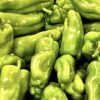 Sweet Pepper Collection | Seeds - Image 8