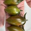 Green Tiger Tomato Seeds | Heirloom - Image 5