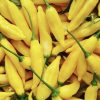 Lemon Drop Pepper Seeds | Hot