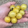 Lemon Drop Tomato Seeds - Image 2
