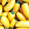 Lemon Spice Jalapeno Pepper Seeds - Image 2