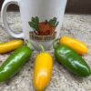 Lemon Spice Jalapeno Pepper Seeds