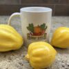 Lemon Squash Seeds
