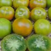 Lime Green Salad Tomato Seeds - Image 2