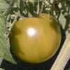 Lime Green Salad Tomato Seeds