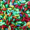 Numex Twlight Pepper Seeds | Hot - Image 2
