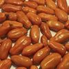 Opalka Paste Tomato Seeds | Heirloom - Image 4