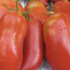 Opalka Paste Tomato Seeds | Heirloom