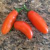 Orange Spice Jalapeno Pepper Seeds | Hot - Image 3