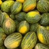 Summertime Melon Collection | Seeds - Image 5