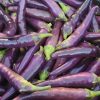 Purple Cayenne Pepper Seeds | Hot