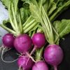 Purple Plum Radish Seeds