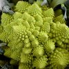 Italian Veggie Collection | Seeds - Image 7