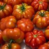 Italian Veggie Collection | Seeds - Image 10