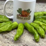 Shishito Pepper Seeds | Heirloom - Image 2