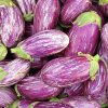 Shooting Stars Eggplant | Heirloom