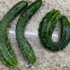 Suyo Long Cucumber Seeds | Heirloom - Image 3