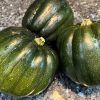 Table Queen Acorn Winter Squash Seeds | Heirloom