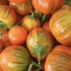 Eggplant Collection | Seeds - Image 9