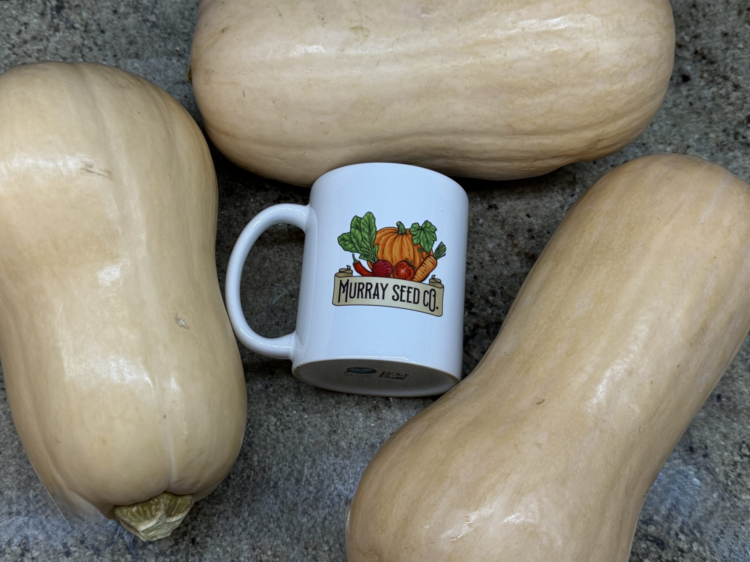 Waltham Butternut Winter Squash Seeds | Heirloom - Image 2